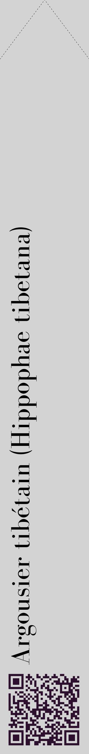 Étiquette de : Hippophae tibetana - format c - style noire56_simplebod avec qrcode et comestibilité