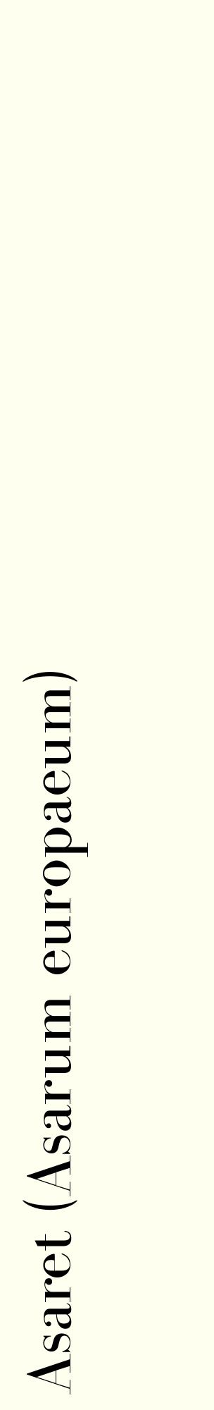 Étiquette de : Asarum europaeum - format c - style noire19_basiquebod avec comestibilité