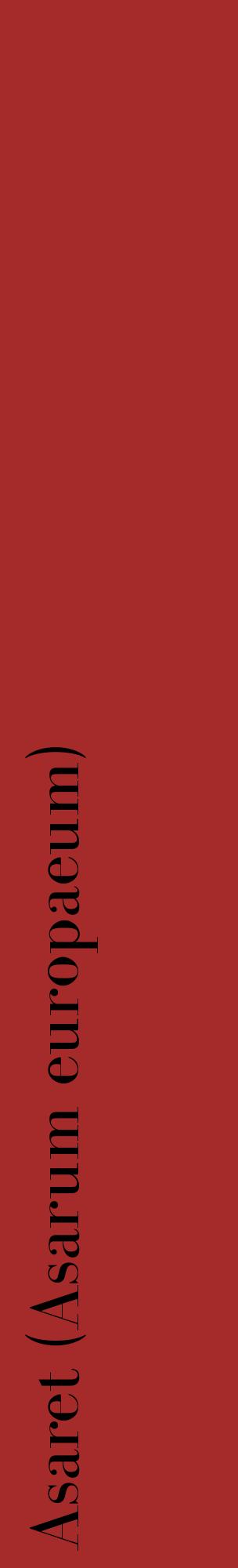Étiquette de : Asarum europaeum - format c - style noire33_basiquebod avec comestibilité