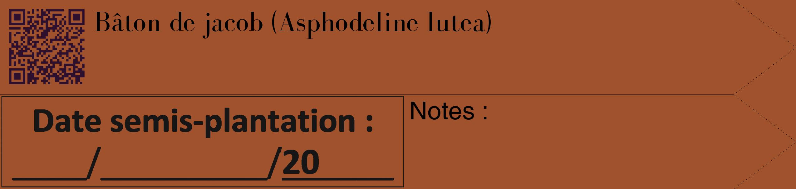 Étiquette de : Asphodeline lutea - format c - style noire32_simple_simplebod avec qrcode et comestibilité