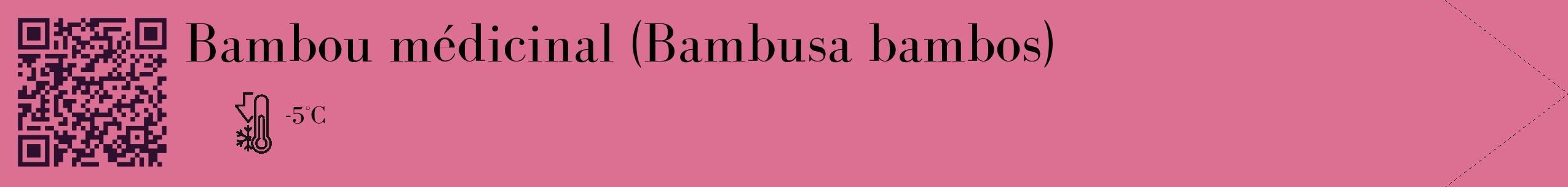 Étiquette de : Bambusa bambos - format c - style noire44_simple_simplebod avec qrcode et comestibilité