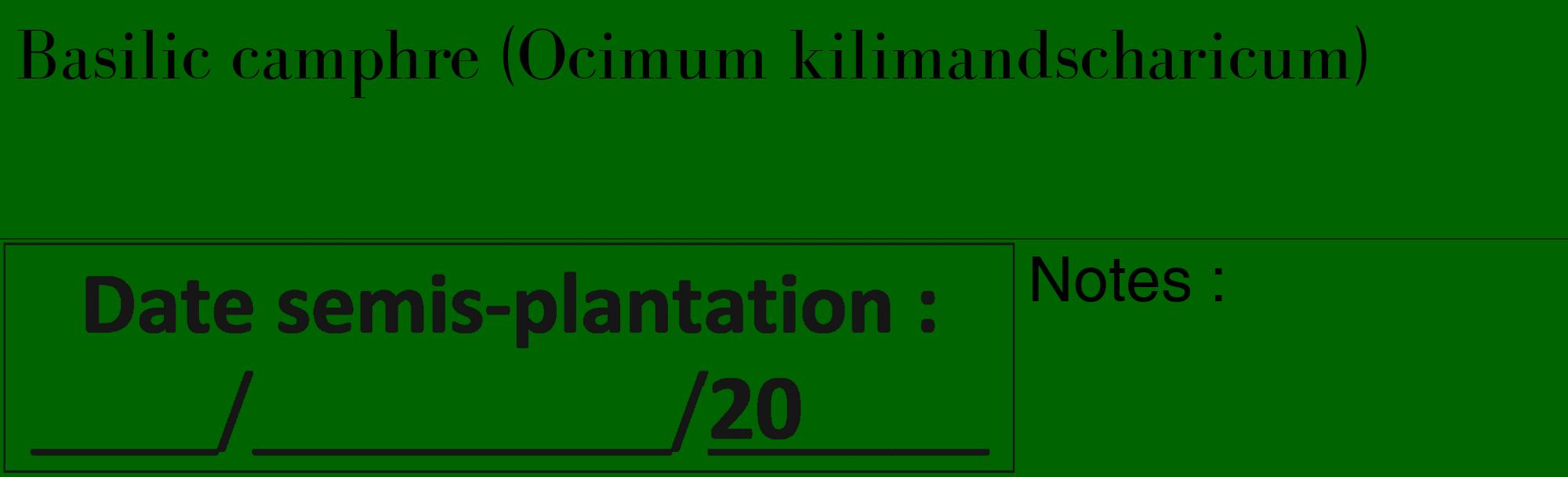 Étiquette de : Ocimum kilimandscharicum - format c - style noire8_basique_basiquebod avec comestibilité