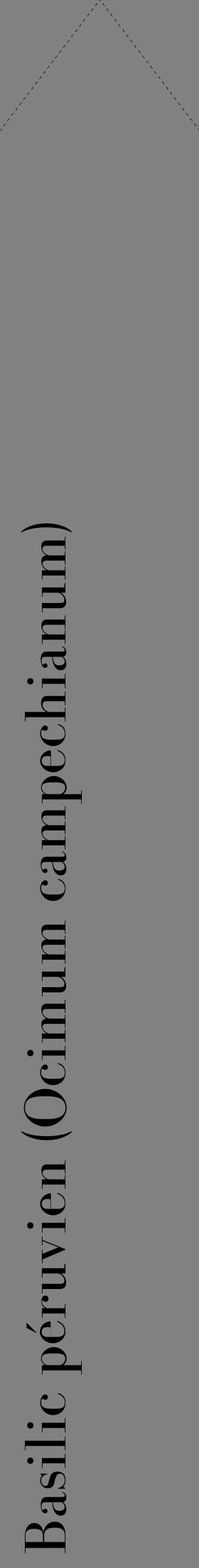 Étiquette de : Ocimum campechianum - format c - style noire50_simple_simplebod avec comestibilité - position verticale