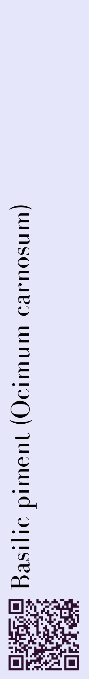 Étiquette de : Ocimum carnosum - format c - style noire55_basiquebod avec qrcode et comestibilité