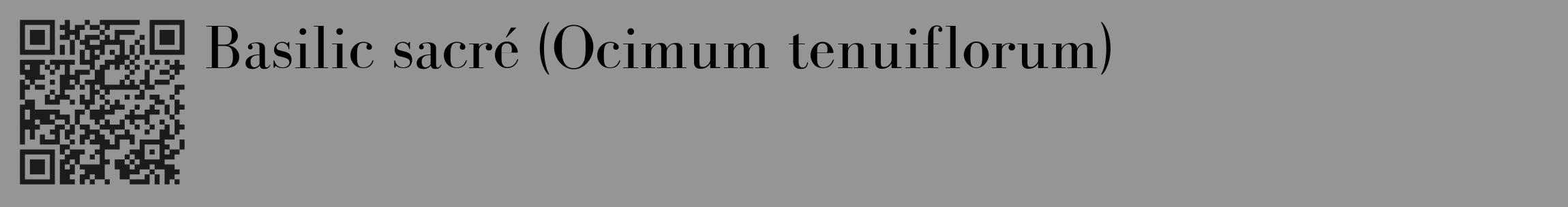 Étiquette de : Ocimum tenuiflorum - format c - style noire16_basique_basiquebod avec qrcode et comestibilité