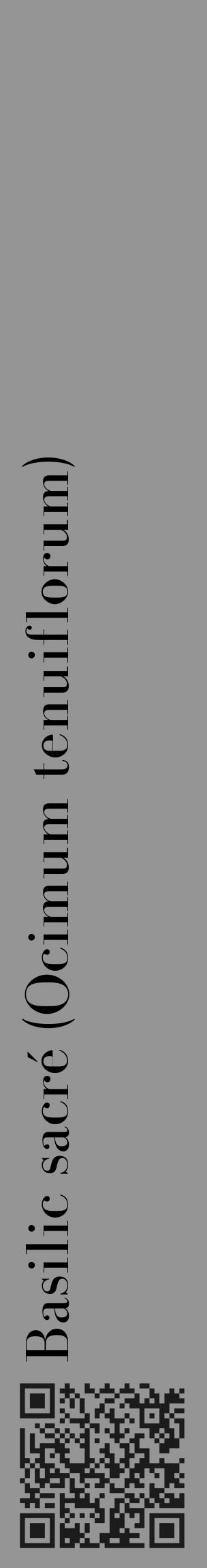 Étiquette de : Ocimum tenuiflorum - format c - style noire16_basique_basiquebod avec qrcode et comestibilité - position verticale