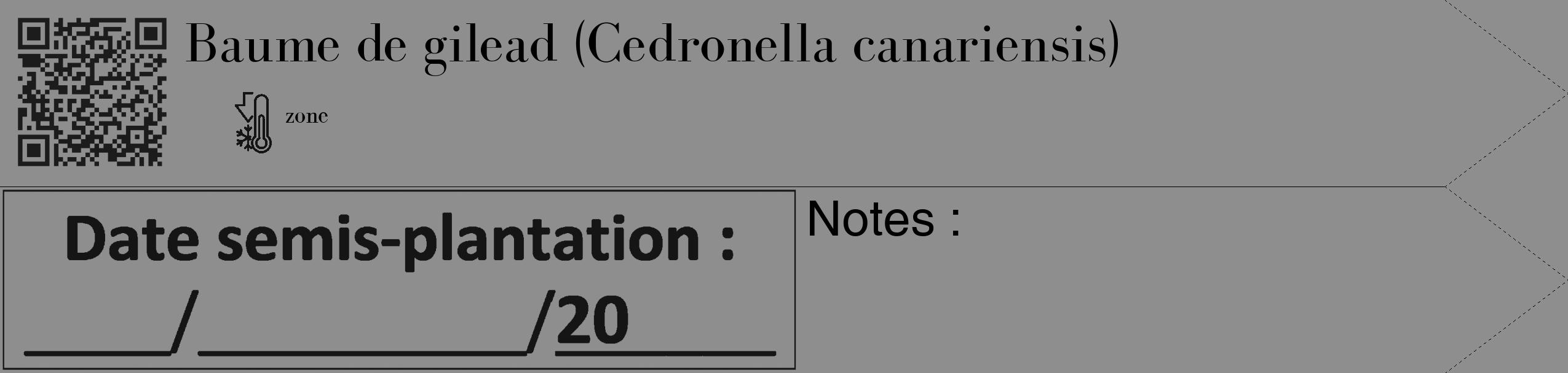 Étiquette de : Cedronella canariensis - format c - style noire25_simple_simplebod avec qrcode et comestibilité