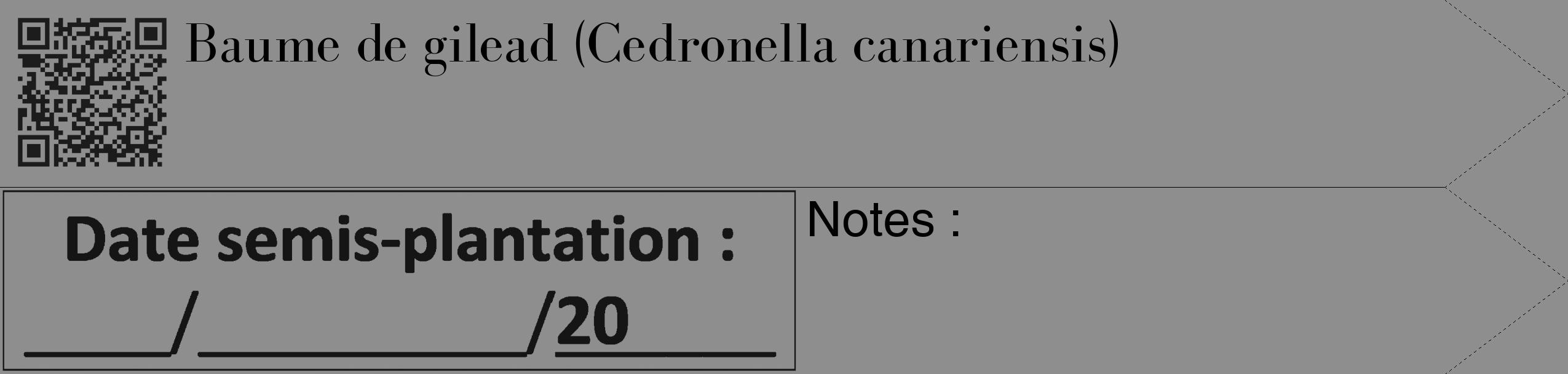 Étiquette de : Cedronella canariensis - format c - style noire25_simple_simplebod avec qrcode et comestibilité