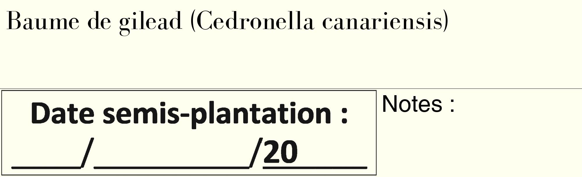 Étiquette de : Cedronella canariensis - format c - style noire19_basique_basiquebod avec comestibilité