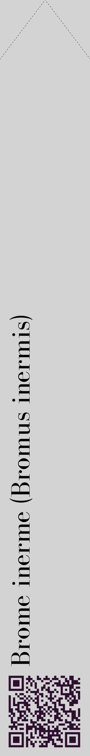 Étiquette de : Bromus inermis - format c - style noire56_simplebod avec qrcode et comestibilité