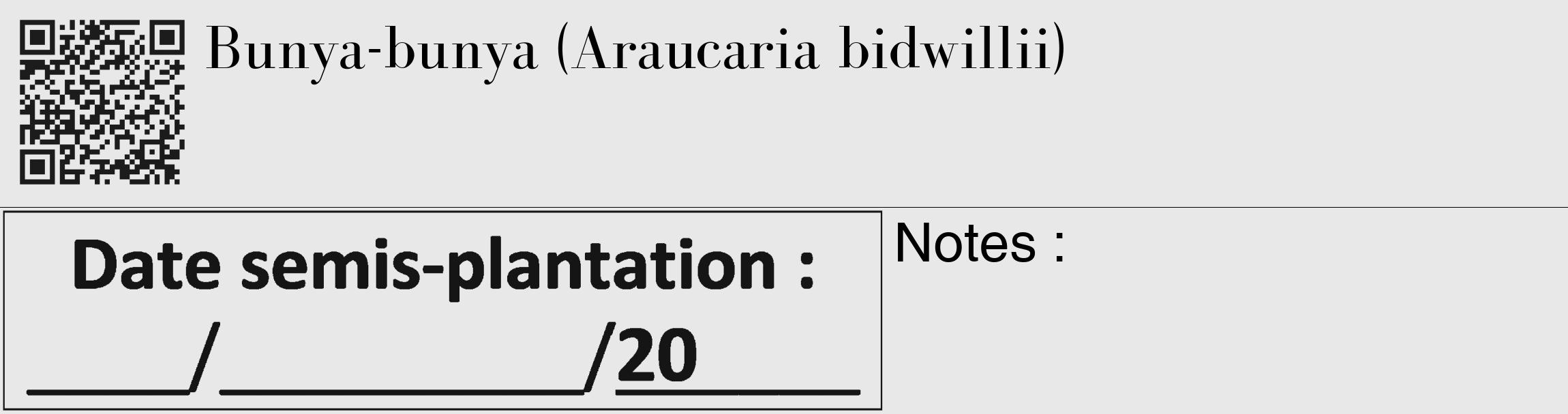 Étiquette de : Araucaria bidwillii - format c - style noire55_basique_basiquebod avec qrcode et comestibilité