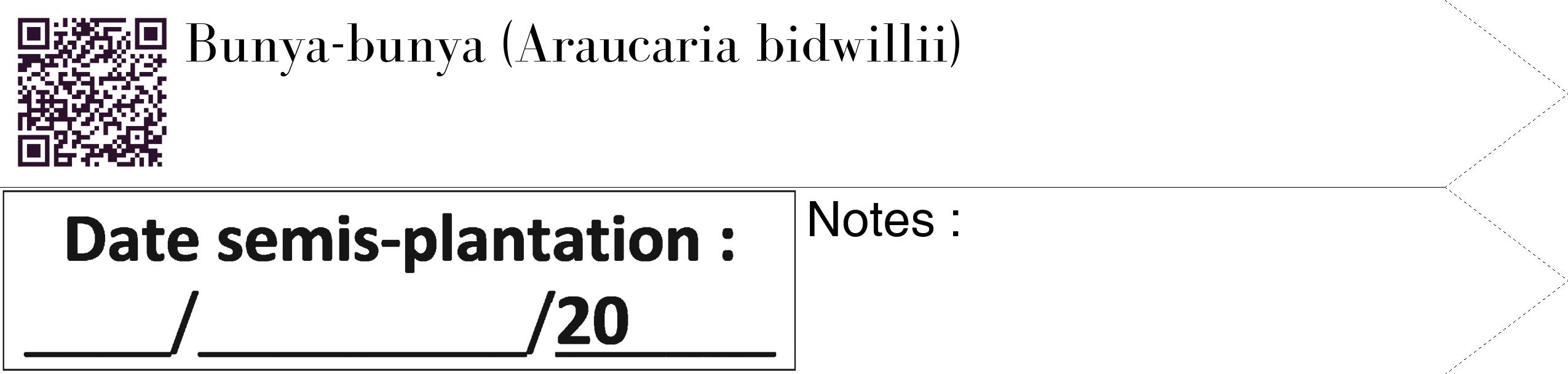 Étiquette de : Araucaria bidwillii - format c - style noire60_simple_simplebod avec qrcode et comestibilité