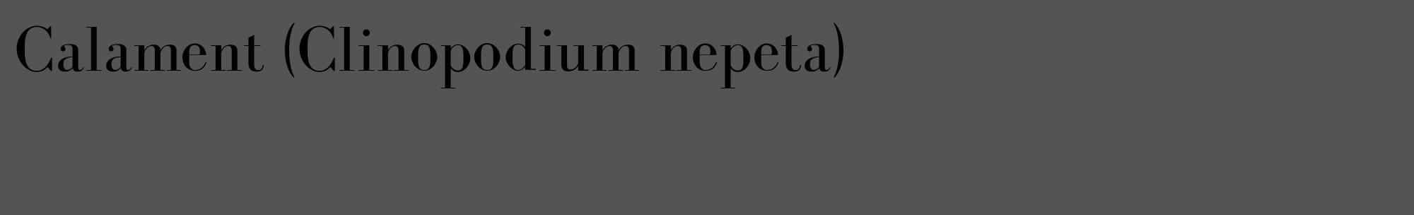 Étiquette de : Clinopodium nepeta - format c - style noire36_basique_basiquebod avec comestibilité