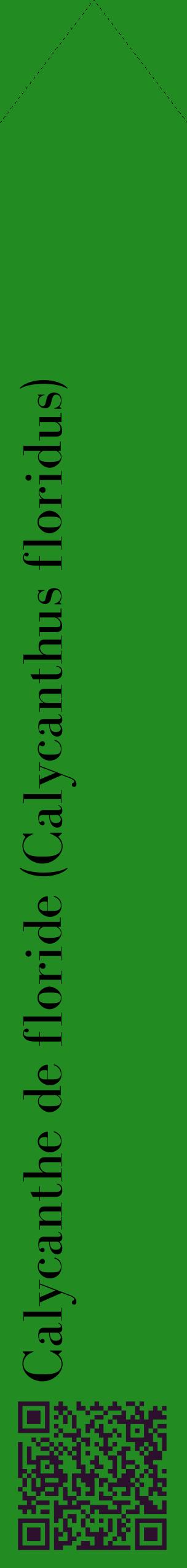 Étiquette de : Calycanthus floridus - format c - style noire10_simplebod avec qrcode et comestibilité