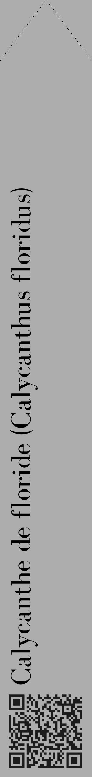 Étiquette de : Calycanthus floridus - format c - style noire22_simple_simplebod avec qrcode et comestibilité - position verticale