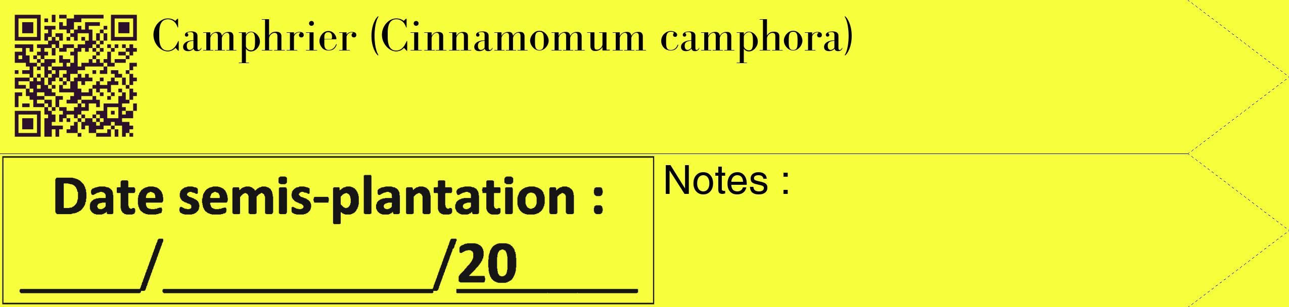 Étiquette de : Cinnamomum camphora - format c - style noire18_simple_simplebod avec qrcode et comestibilité