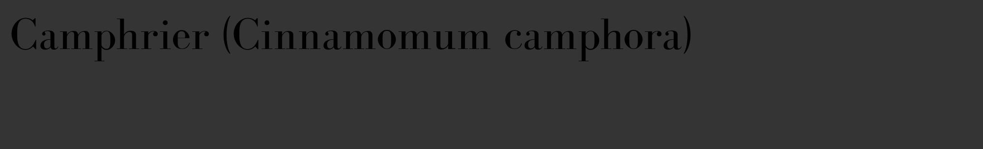 Étiquette de : Cinnamomum camphora - format c - style noire46_basique_basiquebod avec comestibilité