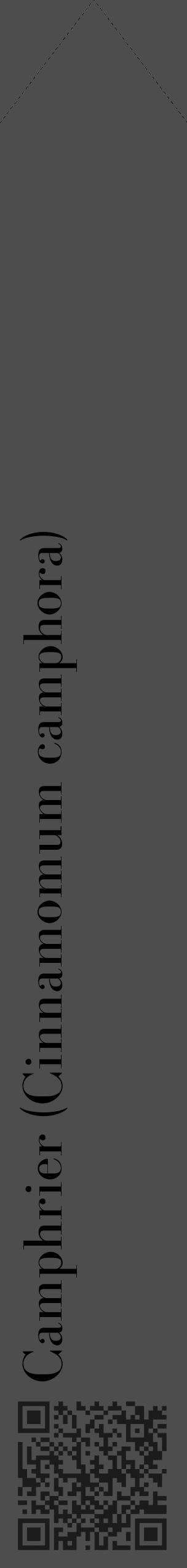 Étiquette de : Cinnamomum camphora - format c - style noire28_simple_simplebod avec qrcode et comestibilité - position verticale