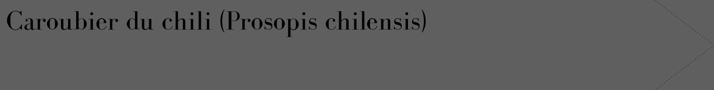 Étiquette de : Prosopis chilensis - format c - style noire10_simple_simplebod avec comestibilité