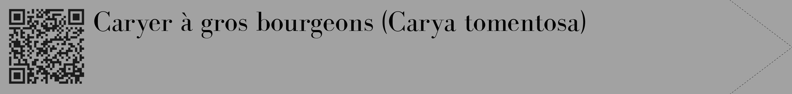 Étiquette de : Carya tomentosa - format c - style noire38_simple_simplebod avec qrcode et comestibilité