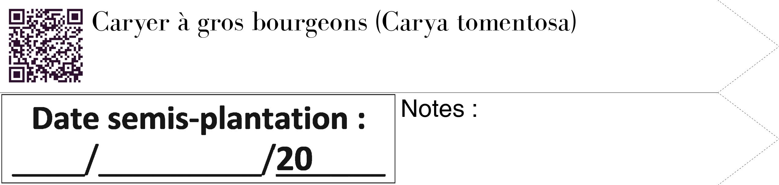 Étiquette de : Carya tomentosa - format c - style noire60_simple_simplebod avec qrcode et comestibilité