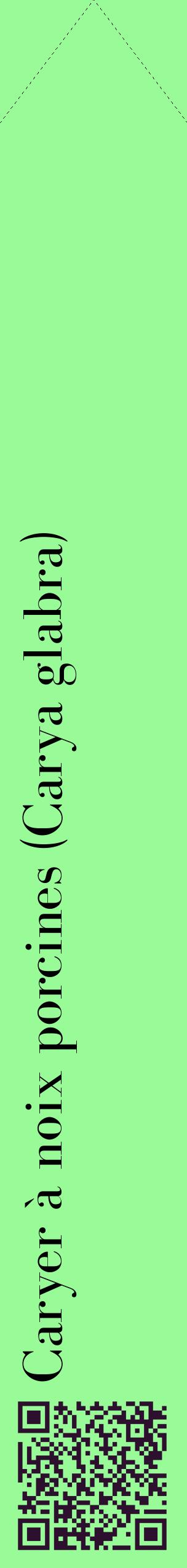 Étiquette de : Carya glabra - format c - style noire14_simplebod avec qrcode et comestibilité