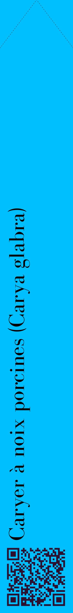 Étiquette de : Carya glabra - format c - style noire2_simplebod avec qrcode et comestibilité