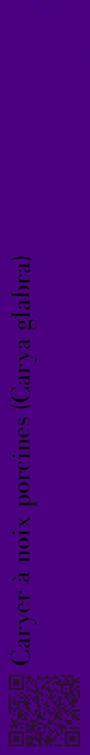 Étiquette de : Carya glabra - format c - style noire47_simplebod avec qrcode et comestibilité
