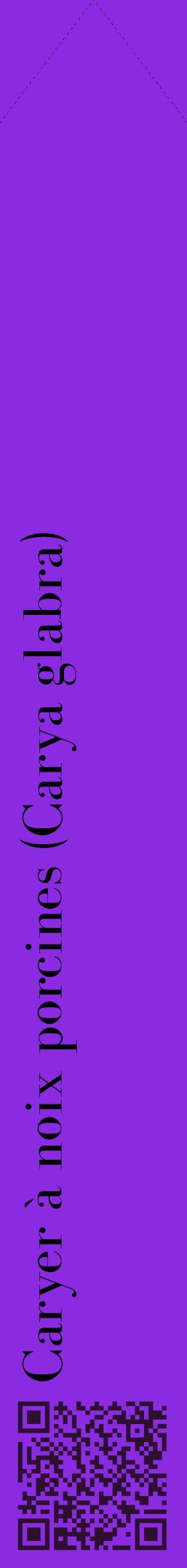 Étiquette de : Carya glabra - format c - style noire49_simplebod avec qrcode et comestibilité