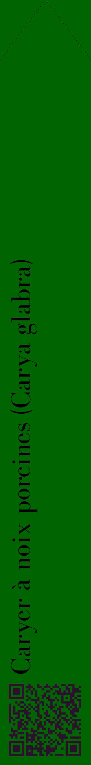 Étiquette de : Carya glabra - format c - style noire8_simplebod avec qrcode et comestibilité