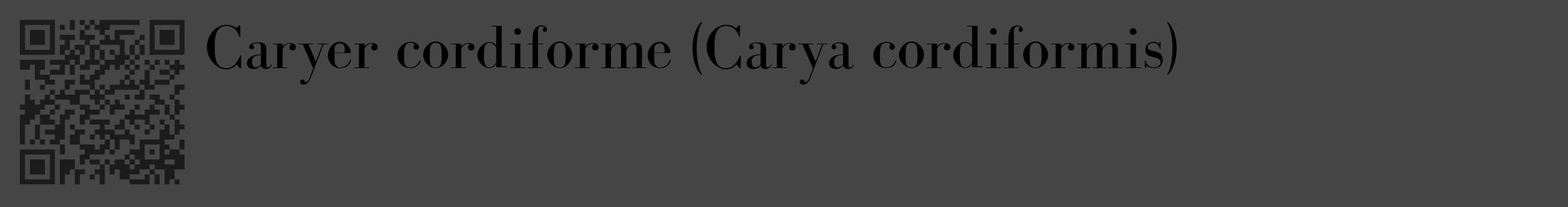 Étiquette de : Carya cordiformis - format c - style noire58_basique_basiquebod avec qrcode et comestibilité