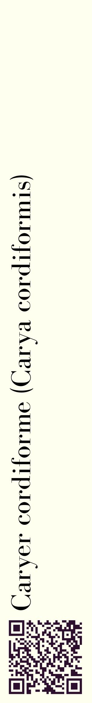 Étiquette de : Carya cordiformis - format c - style noire19_basiquebod avec qrcode et comestibilité