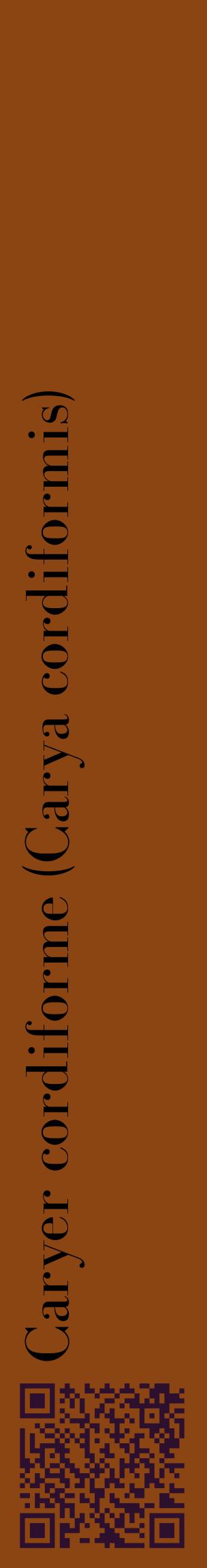 Étiquette de : Carya cordiformis - format c - style noire30_basiquebod avec qrcode et comestibilité