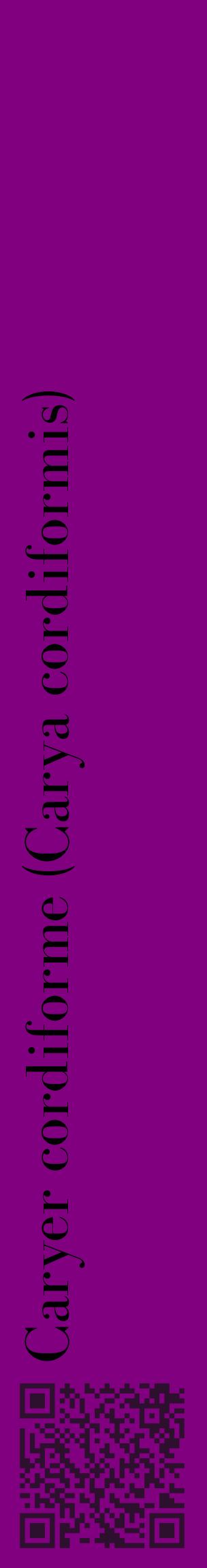 Étiquette de : Carya cordiformis - format c - style noire46_basiquebod avec qrcode et comestibilité