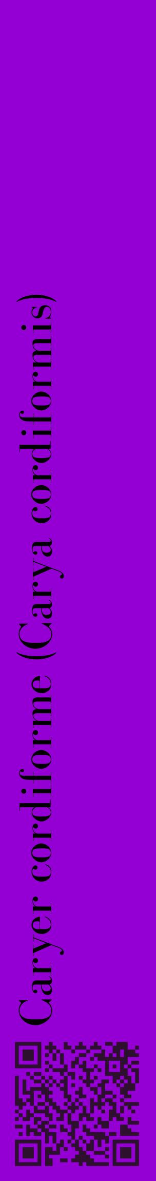Étiquette de : Carya cordiformis - format c - style noire48_basiquebod avec qrcode et comestibilité