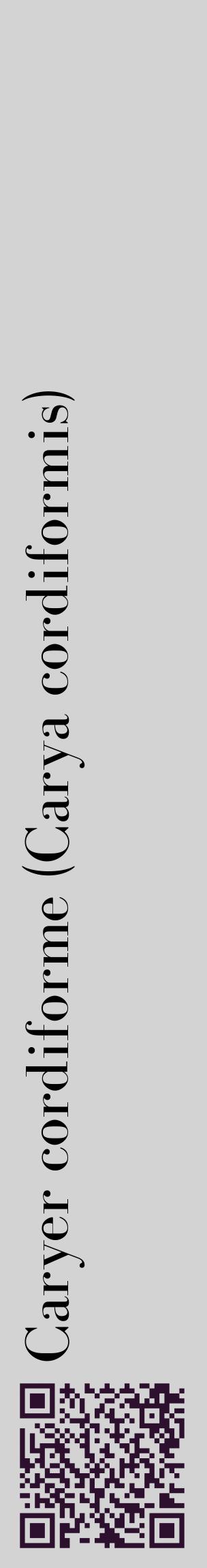 Étiquette de : Carya cordiformis - format c - style noire56_basiquebod avec qrcode et comestibilité