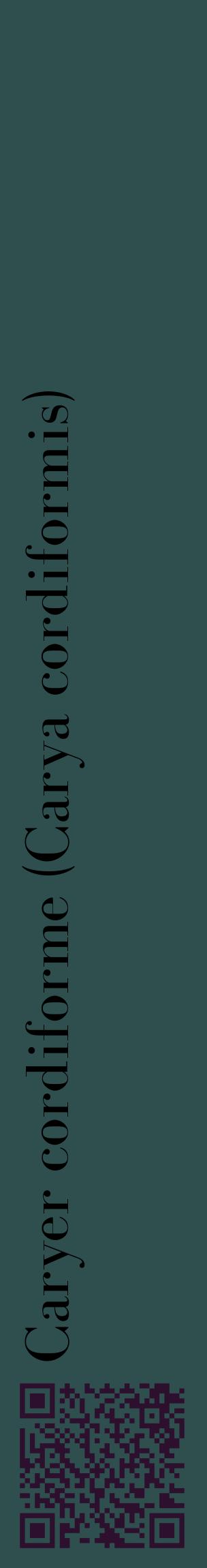 Étiquette de : Carya cordiformis - format c - style noire58_basiquebod avec qrcode et comestibilité