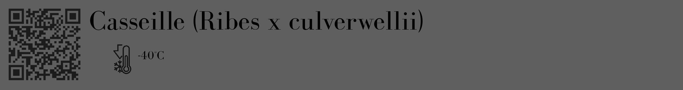 Étiquette de : Ribes x culverwellii - format c - style noire10_basique_basiquebod avec qrcode et comestibilité