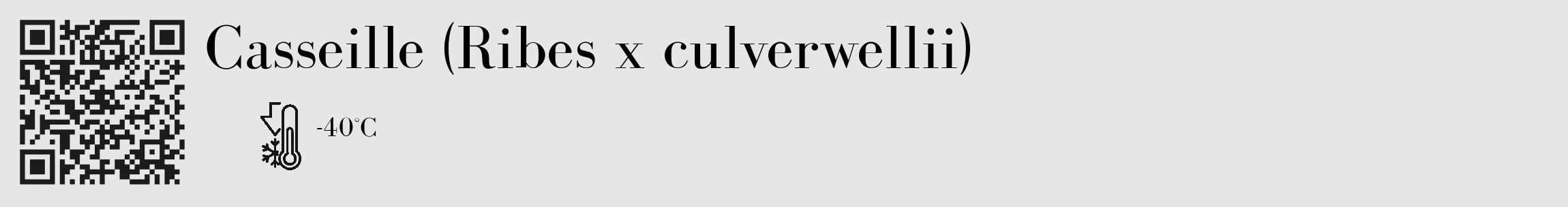 Étiquette de : Ribes x culverwellii - format c - style noire18_basique_basiquebod avec qrcode et comestibilité