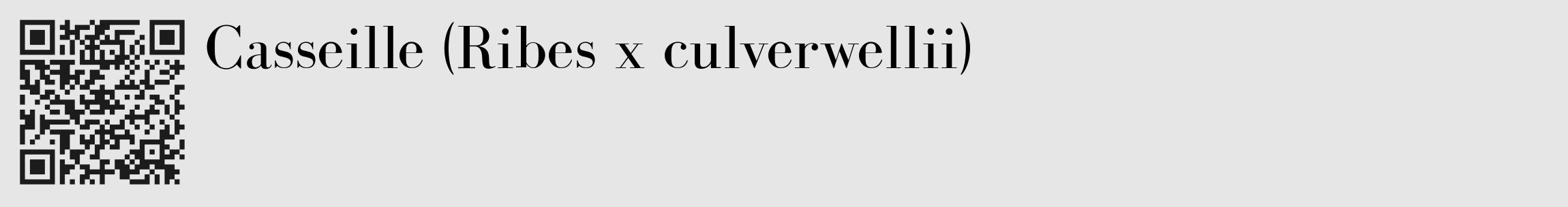 Étiquette de : Ribes x culverwellii - format c - style noire18_basique_basiquebod avec qrcode et comestibilité