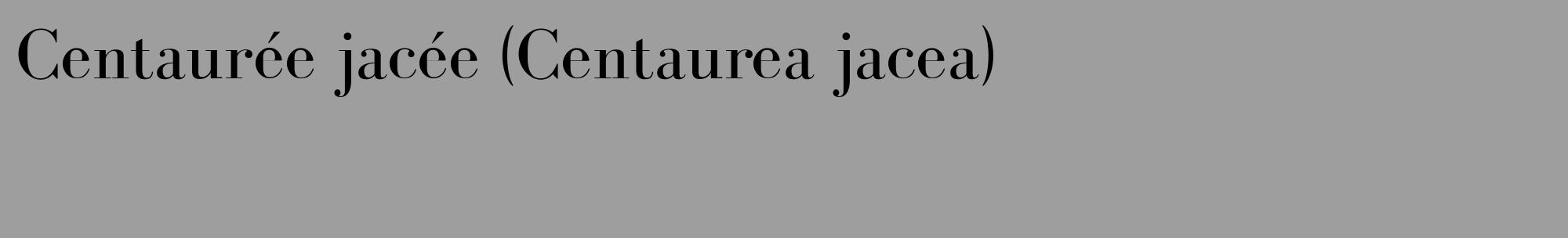 Étiquette de : Centaurea jacea - format c - style noire42_basique_basiquebod avec comestibilité