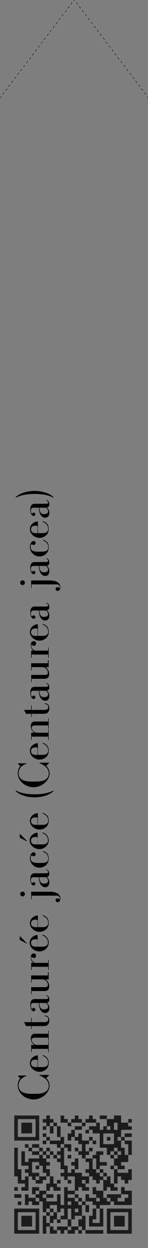 Étiquette de : Centaurea jacea - format c - style noire31_simple_simplebod avec qrcode et comestibilité - position verticale