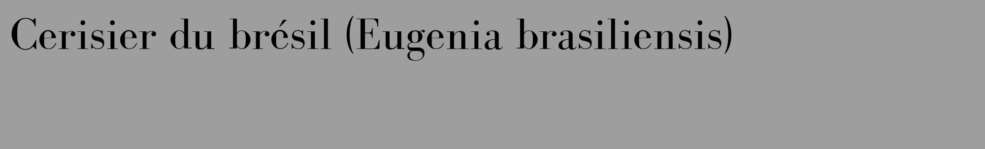 Étiquette de : Eugenia brasiliensis - format c - style noire23_basique_basiquebod avec comestibilité