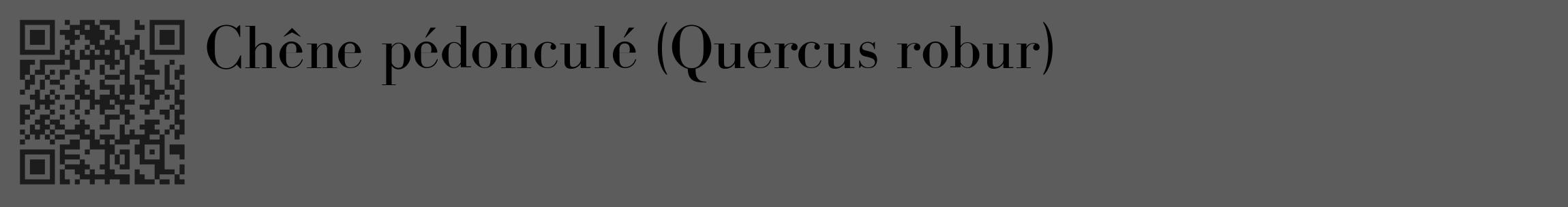 Étiquette de : Quercus robur - format c - style noire49_basique_basiquebod avec qrcode et comestibilité