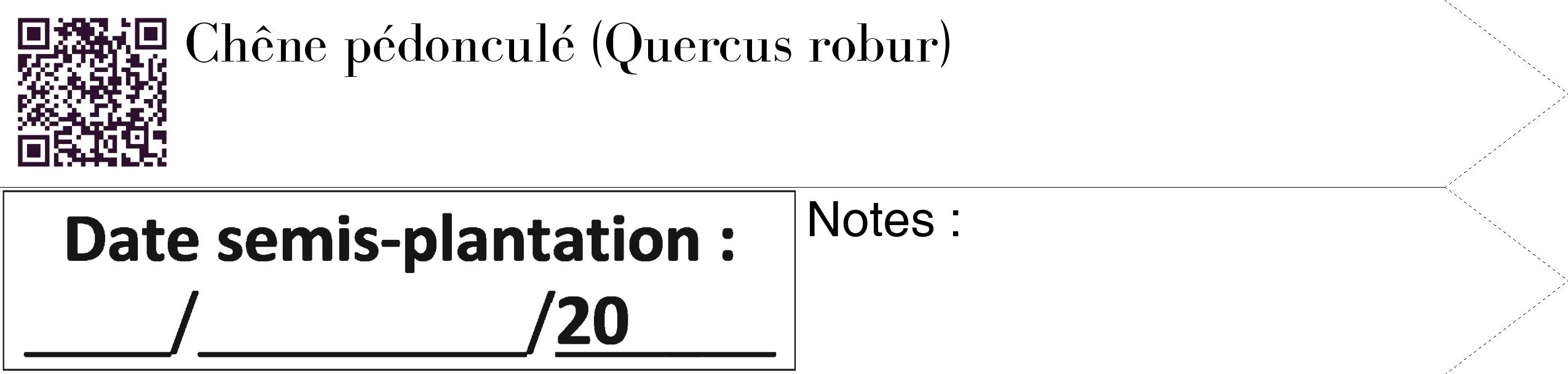 Étiquette de : Quercus robur - format c - style noire60_simple_simplebod avec qrcode et comestibilité