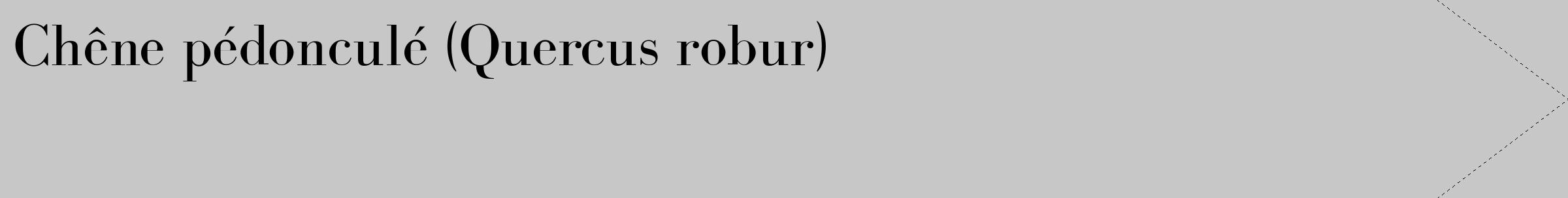 Étiquette de : Quercus robur - format c - style noire15_simple_simplebod avec comestibilité