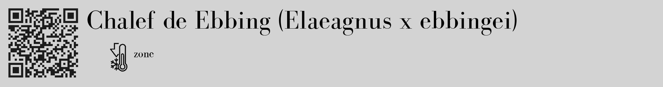 Étiquette de : Elaeagnus x ebbingei - format c - style noire56_basique_basiquebod avec qrcode et comestibilité