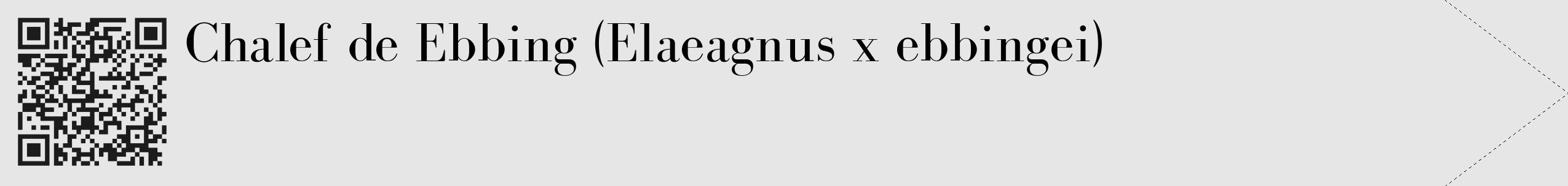 Étiquette de : Elaeagnus x ebbingei - format c - style noire18_simple_simplebod avec qrcode et comestibilité