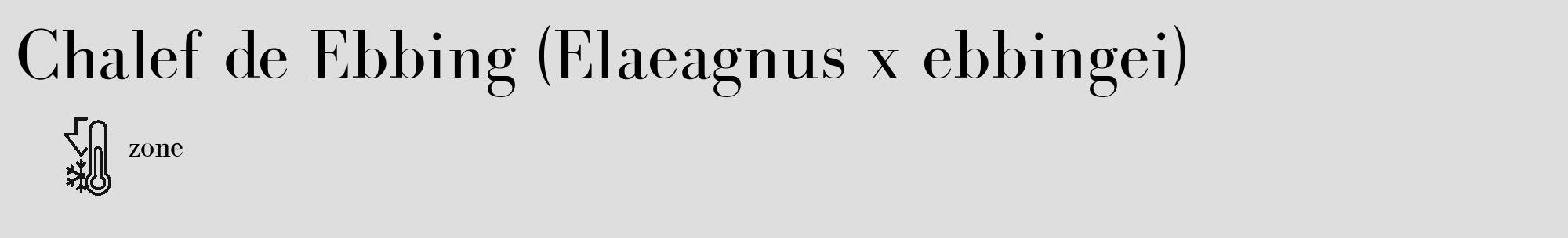 Étiquette de : Elaeagnus x ebbingei - format c - style noire20_basique_basiquebod avec comestibilité