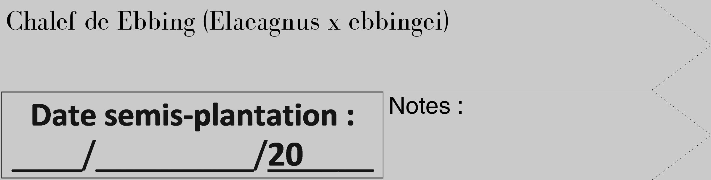 Étiquette de : Elaeagnus x ebbingei - format c - style noire21_simple_simplebod avec comestibilité